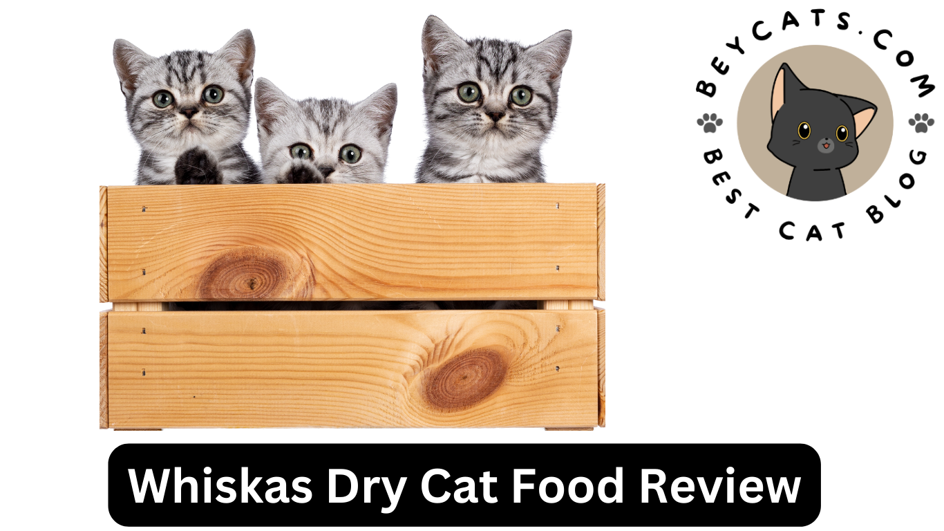 Whiskas Dry Cat Food Review