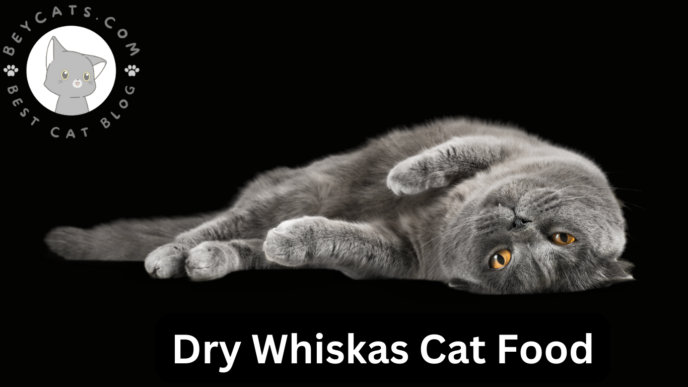 Dry Whiskas Cat Food