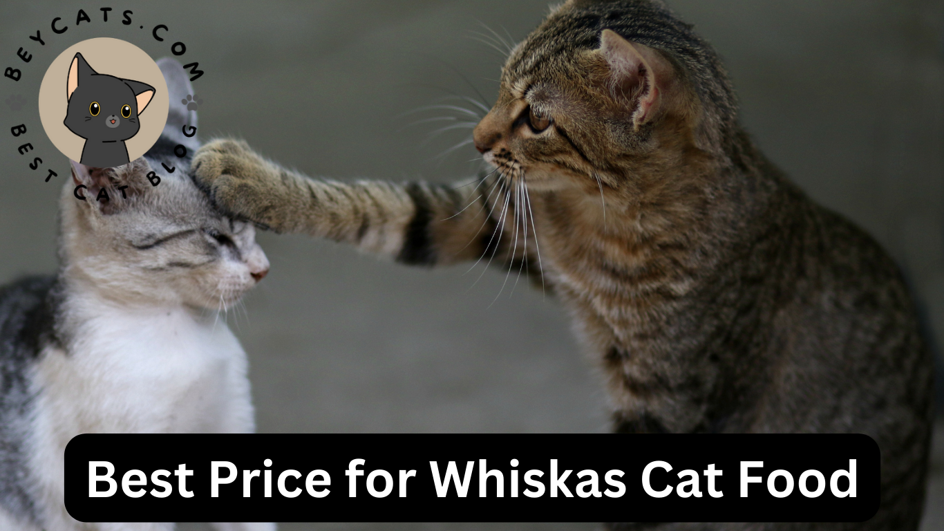Best Price for Whiskas Cat Food