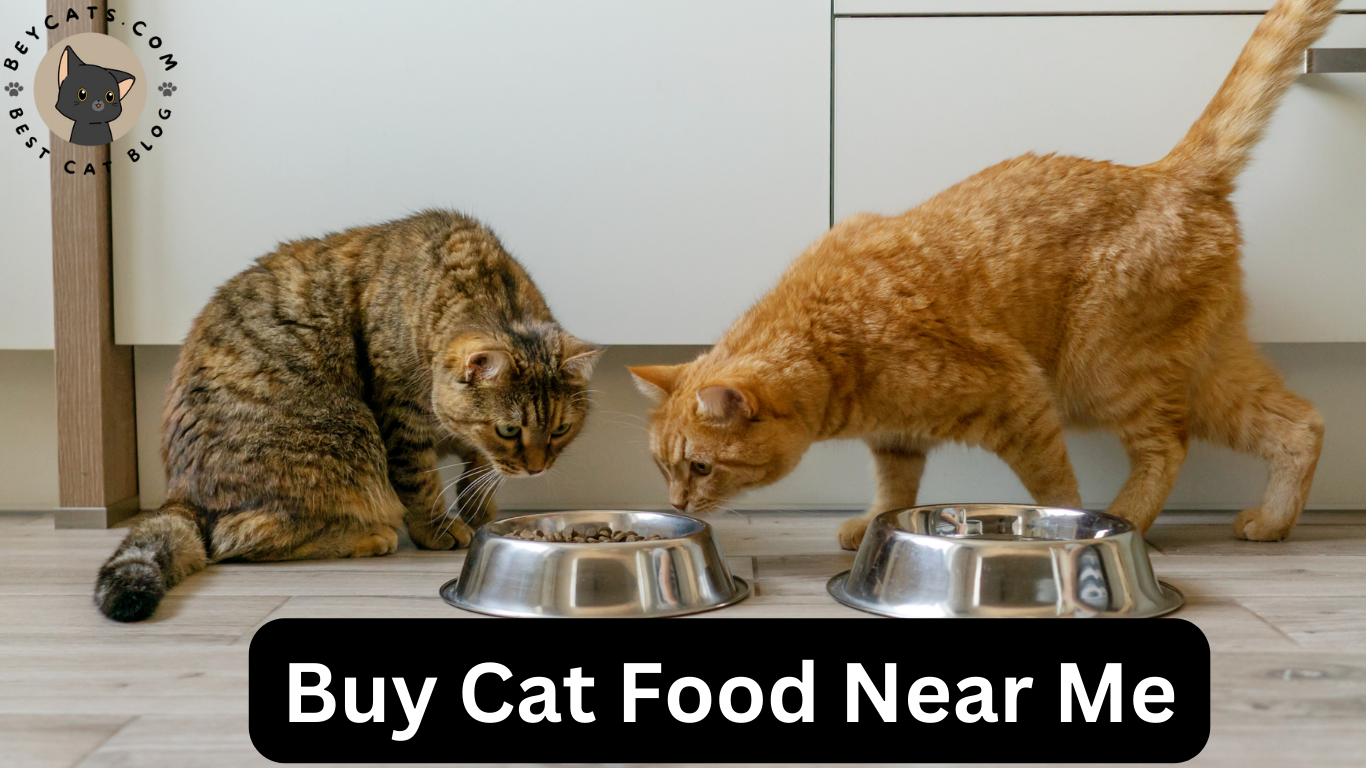 Buy Cat Food Near Me