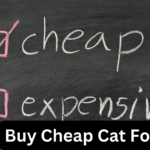 Buy Cheap Cat Food