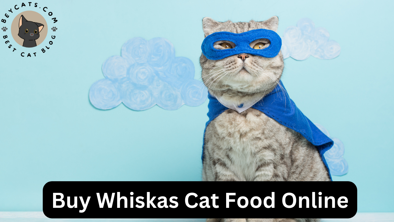 Buy Whiskas Cat Food Online