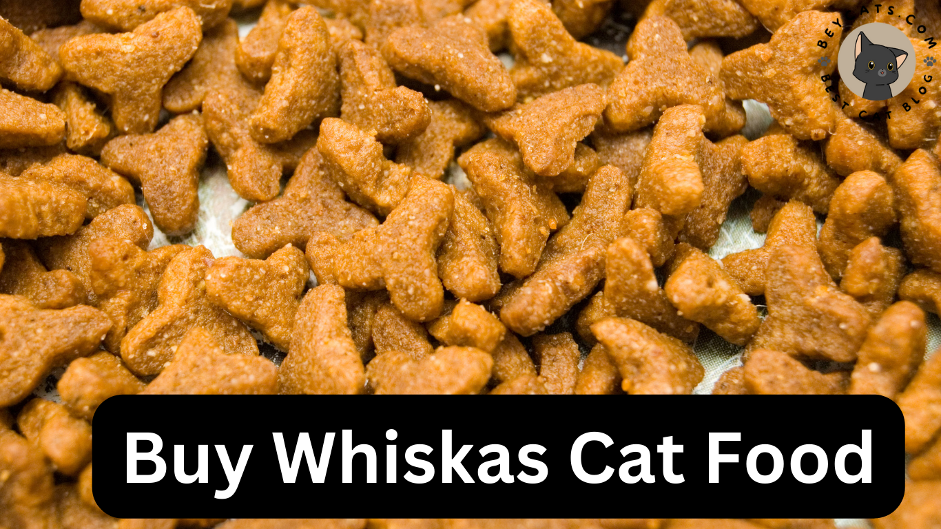 Buy Whiskas Cat Food
