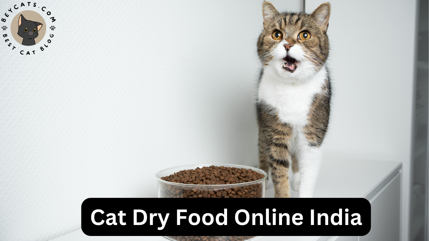Cat Dry Food Online India