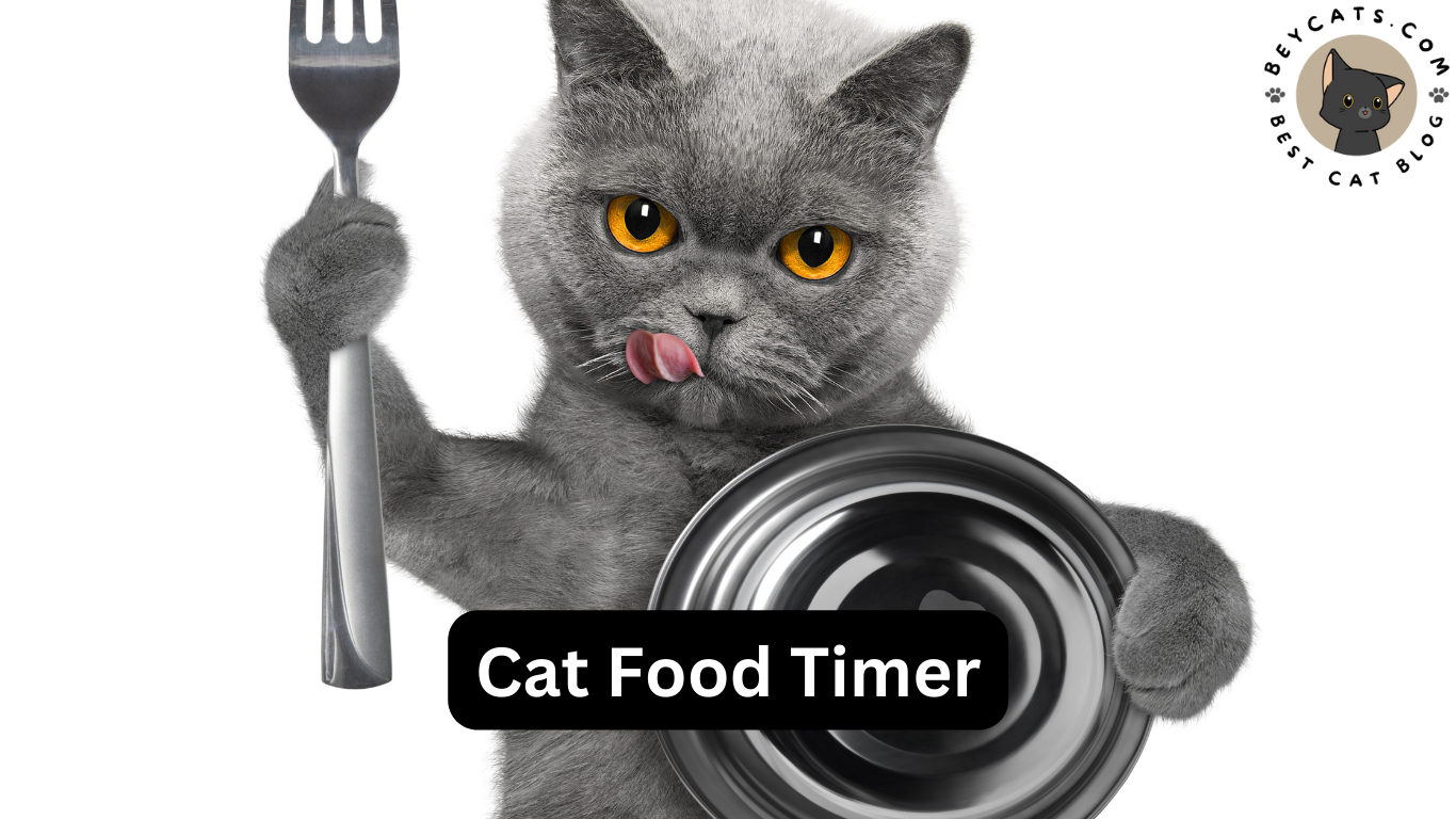 Cat Food Timer