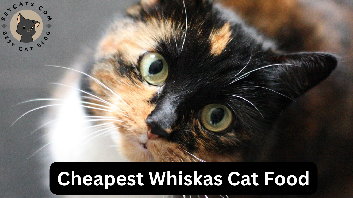 Cheapest Whiskas Cat Food