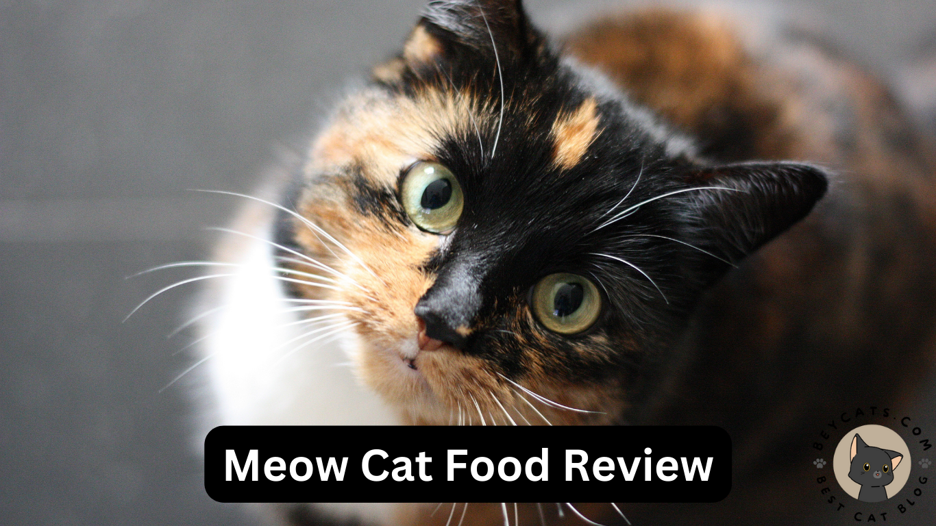 Meow Cat Food Review