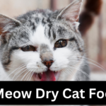 Meow Dry Cat Food