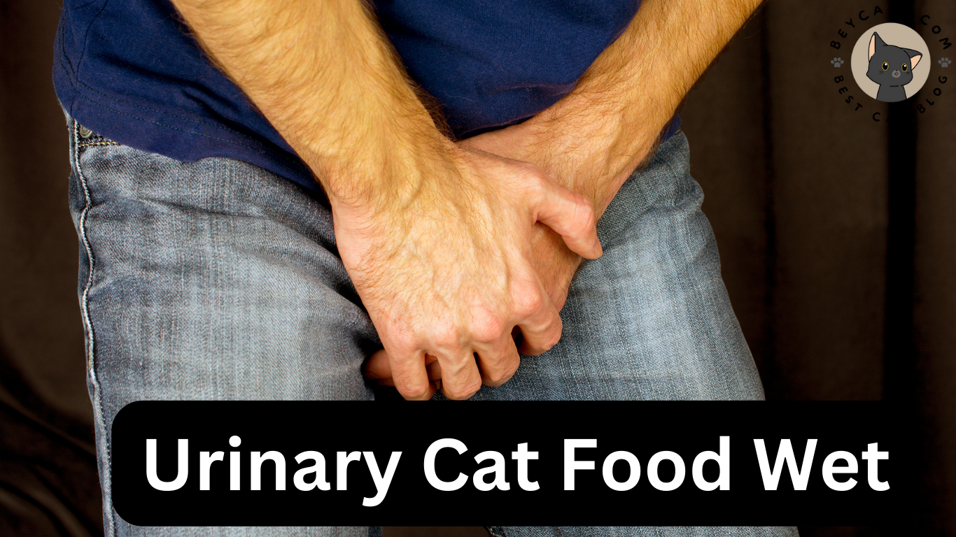 Urinary Cat Food Wet