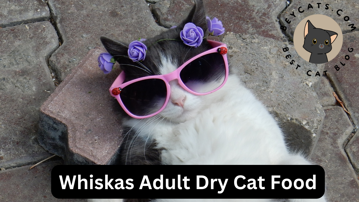 Whiskas Adult Dry Cat Food