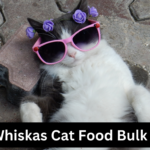 Whiskas Cat Food Bulk Buy