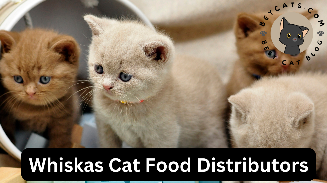 Whiskas Cat Food Distributors