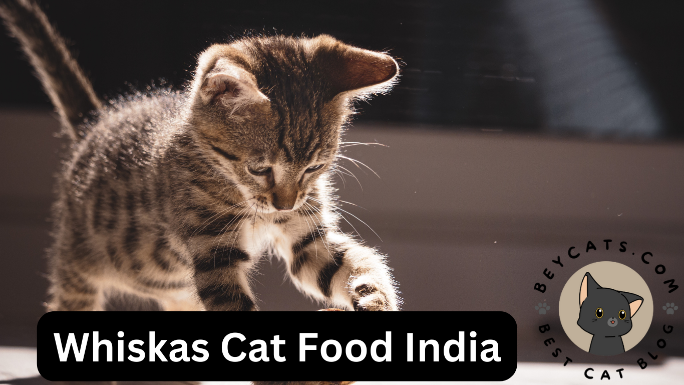 Whiskas Cat Food India