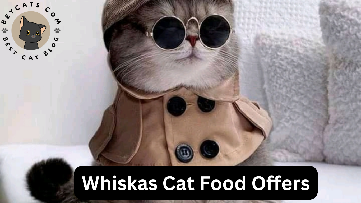 Whiskas Cat Food Offers