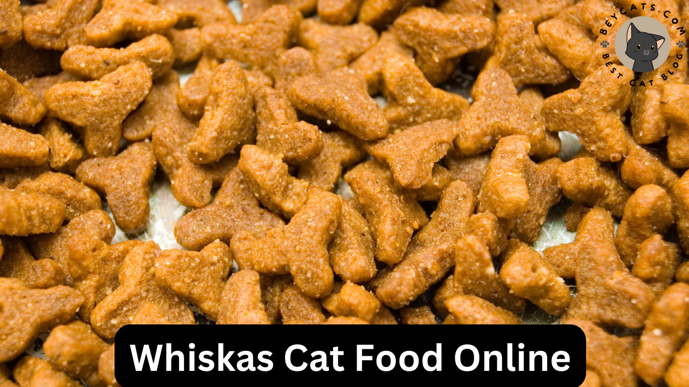Whiskas Cat Food Online