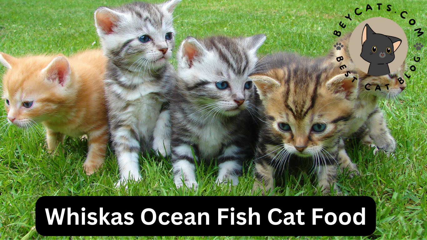 Whiskas Ocean Fish Cat Food