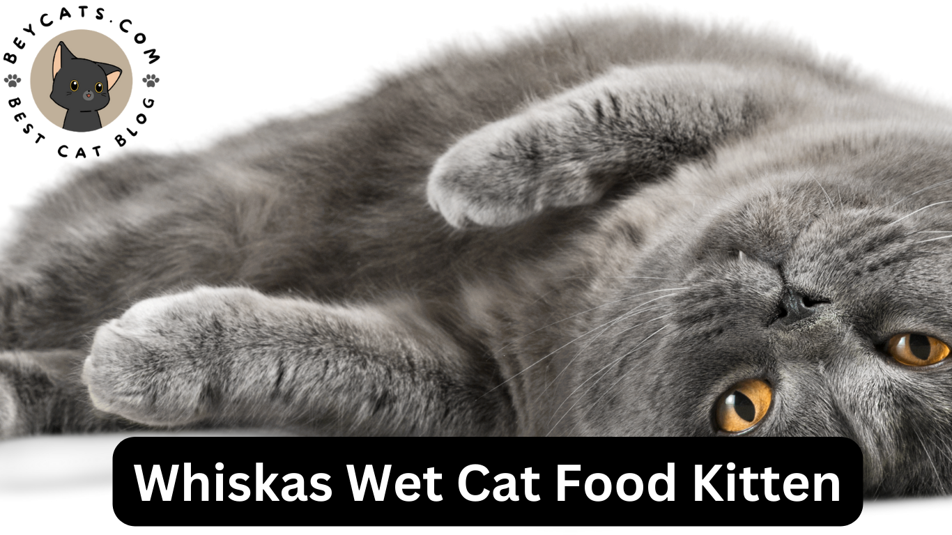 Whiskas Wet Cat Food Kitten