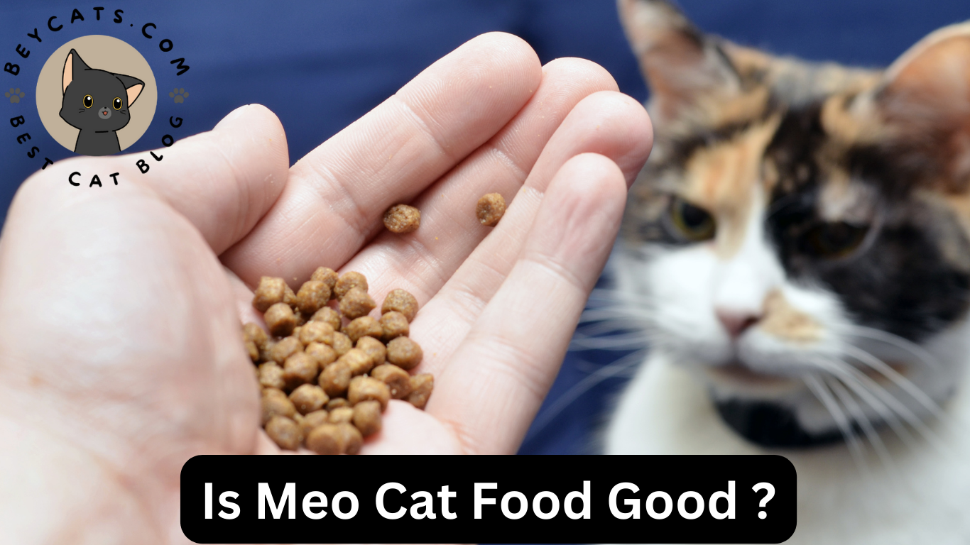 Is Meo Cat Food Good