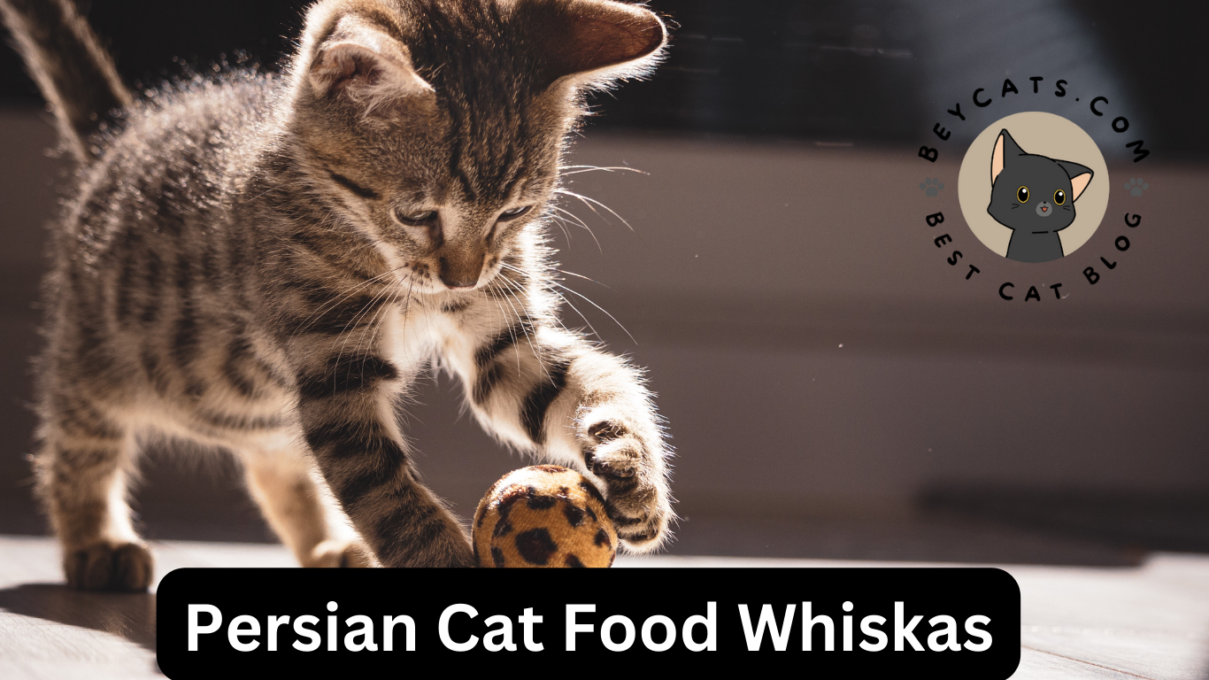 Persian Cat Food Whiskas