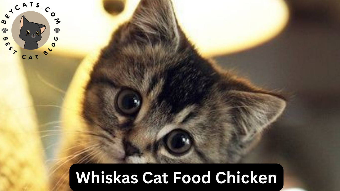 Whiskas Cat Food Chicken