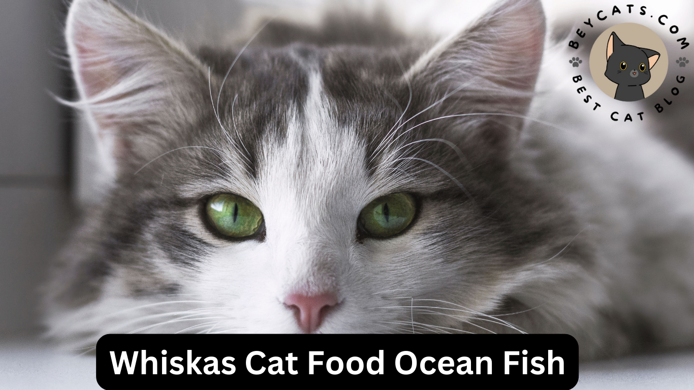 Whiskas Cat Food Ocean Fish
