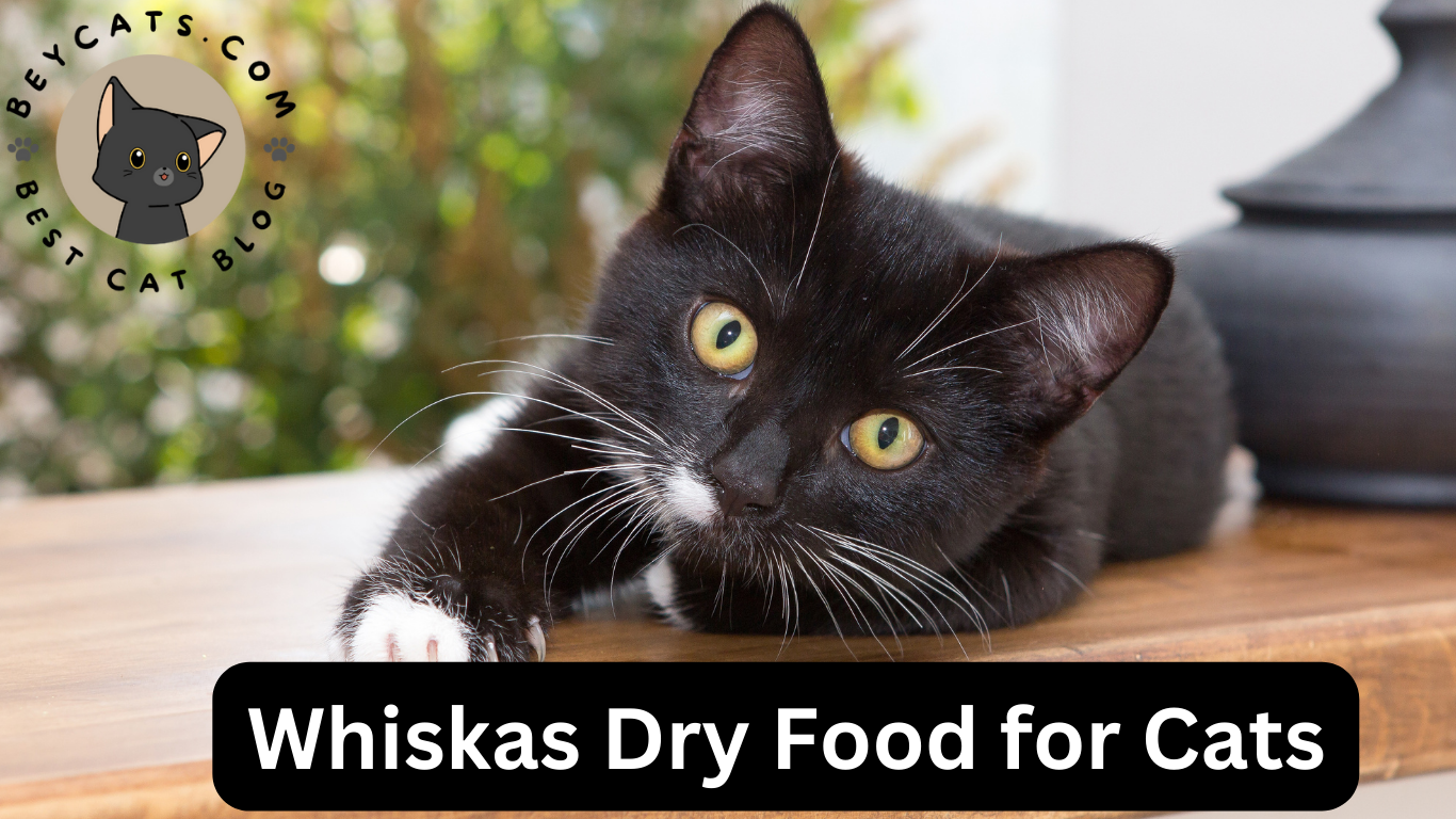 Whiskas Dry Food for Cats