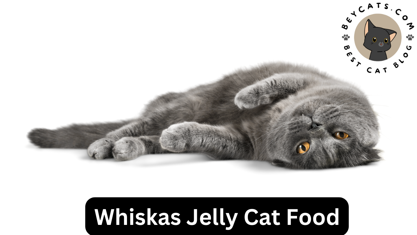 Whiskas Jelly Cat Food